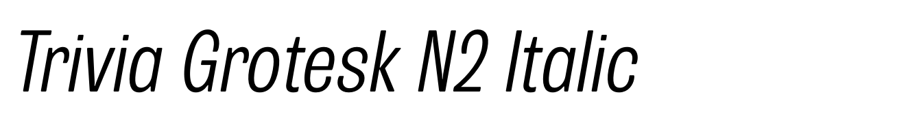 Trivia Grotesk N2 Italic